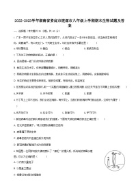 2022-2023学年湖南省娄底市涟源市八年级上学期期末生物试题及答案