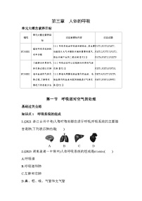 人教版 (新课标)七年级下册第一节 呼吸道对空气的处理习题