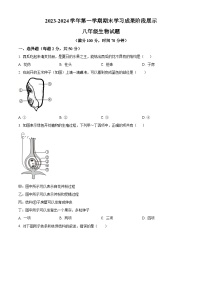 山东省德州市夏津县2023-2024学年八年级上学期期末生物试题（原卷版+解析版）