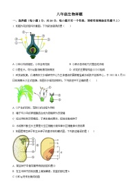 山东省菏泽市定陶区2023-2024学年八年级上学期期末生物试题（原卷版+解析版）