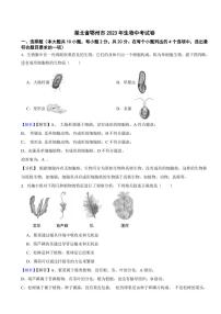 湖北省鄂州市2023年生物中考试题（附真题解析）