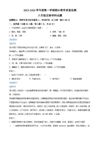 广东省揭阳市揭东区2023-2024学年八年级上学期期末生物试题