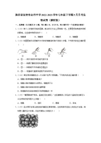 陕西省延安市志丹县中学2022-2023学年七年级下学期5月月考生物试卷