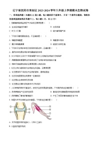 辽宁省沈阳市皇姑区2023-2024学年八年级上学期期末生物试题（原卷版+解析版）