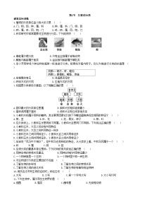 北师大版八年级下册第1节  生物的分类一课一练