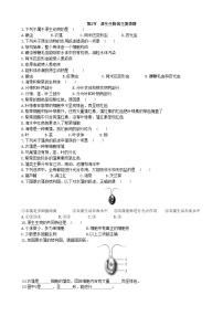 北师大版八年级下册第七单元 生命的演化第22章  物种的多样性第2节  原生生物的主要类群一课一练