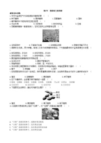 北师大版第七单元 生命的演化第22章  物种的多样性第3节  植物的主要类群同步达标检测题