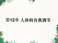 北师大版七年级下册第1节  神经系统与神经调节图文课件ppt