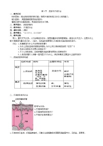 初中生物北师大版七年级下册第3节  皮肤与汗液分泌学案