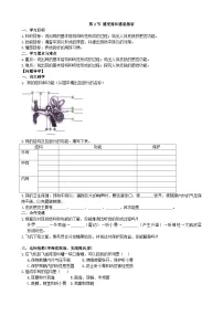 北师大版七年级下册第2节 感受器和感觉器官学案及答案