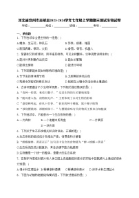 河北省沧州市吴桥县2023-2024学年七年级上学期期末测试生物试卷(含答案)