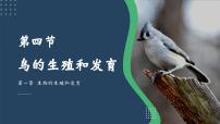 生物八年级下册第四节 鸟的生殖和发育教学演示课件ppt