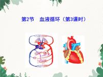 北师大版七年级下册第2节 血液循环多媒体教学课件ppt