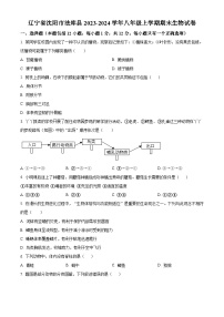 辽宁省沈阳市法库县2023-2024学年八年级上学期期末生物试题（原卷版+解析版）