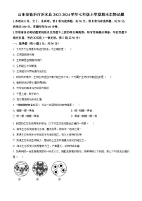 山东省临沂市沂水县2023-2024学年七年级上学期期末生物试题（原卷版+解析版）