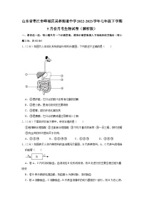 山东省枣庄市峄城区吴林街道中学2022-2023学年七年级下学期5月份月考生物试卷