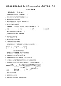 湖北省恩施州恩施市屯堡乡中学2022-2023学年七年级下学期5月月考生物试题（原卷版+解析版）