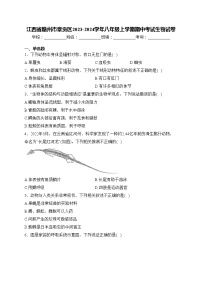 江西省赣州市章贡区2023-2024学年八年级上学期期中考试生物试卷(含答案)