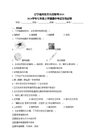 辽宁省丹东市九校联考2023-2024学年七年级上学期期中考试生物试卷(含答案)