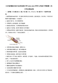 江苏省南通市崇川区田家炳中学2022-2023学年七年级下学期第二次月考生物试题（原卷版+解析版）