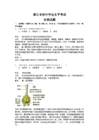 【全套精品专题】初中生物复习专题精讲 湖北省黄石市中考生物模拟试题（word版，含解析）