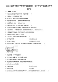 甘肃省武威市凉州区二十四中学教研片2023-2024学年七年级下学期开学考试生物试题（原卷版+解析版）