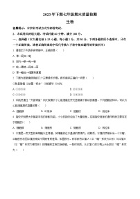 湖南省邵阳市新邵县2023-2024学年七年级上学期期末生物试题（原卷版+解析版）