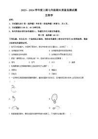 重庆市南岸区2023-2024学年七年级上学期期末生物试题（原卷版+解析版）