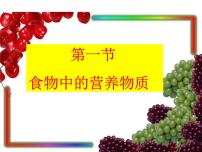 初中生物人教版 (新课标)七年级下册第一节 食物中的营养物质评课课件ppt
