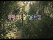 人教版 (新课标)七年级下册第一节 呼吸道对空气的处理教学演示ppt课件