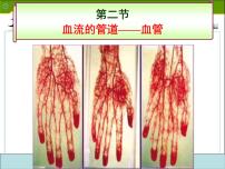 初中生物人教版 (新课标)七年级下册第二节 血流的管道──血管课堂教学课件ppt