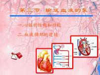 人教版 (新课标)七年级下册第四单元 生物圈中的人第四章 人体内物质的运输第三节 输送血液的泵──心脏教课课件ppt