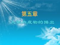初中生物人教版 (新课标)七年级下册第五章 人体内废物的排出课堂教学ppt课件