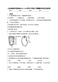 山东省德州市夏津县2023-2024学年八年级上学期期中考试生物试卷(含答案)