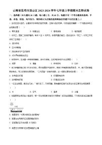 云南省昆明市西山区2023-2024学年七年级上学期期末生物试题（原卷版+解析版）