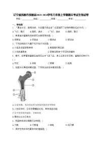 辽宁省抚顺市抚顺县2023-2024学年八年级上学期期末考试生物试卷(含答案)