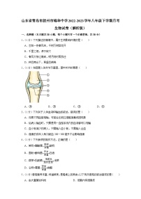 山东省青岛市胶州市瑞华中学2022-2023学年八年级下学期月考生物试卷+