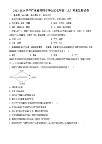 广东省深圳市坪山区2023-2024学年七年级上学期期末生物试题（原卷版+解析版）