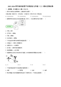 吉林省四平市铁西区2023-2024学年七年级上学期期末生物试题（原卷版+解析版）