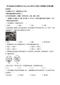 河北省保定市高碑店市2023-2024学年七年级上学期期末生物试题（原卷版+解析版）