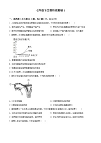 广东东莞市松山湖南方外国语学校2023-2024学年七年级下学期第一次月考生物试题（原卷版+解析版）