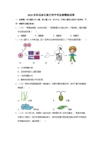 2024年河北省石家庄市中考生物模拟试卷