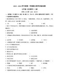 广东省湛江市雷州市2023-2024学年七年级上学期期末生物试题（原卷版+解析版）