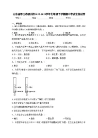 山东省枣庄市滕州市2022-2023学年七年级下学期期中考试生物试卷(含答案)