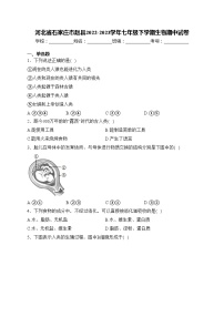 河北省石家庄市赵县2022-2023学年七年级下学期生物期中试卷(含答案)