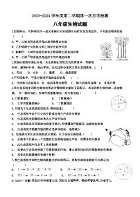 山东省泰安市东平县实验中学2023-2024学年八年级下学期+第一次月考+生物试题