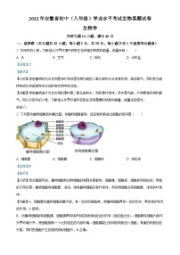 2022年安徽省中考生物真题（含解析）