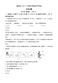 2022年山东省滨州市中考生物真题（含解析）