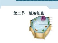 初中生物人教版 (新课标)七年级上册第二节 植物细胞课前预习课件ppt