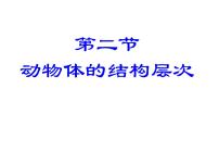 生物七年级上册第二节 动物体的结构层次教课ppt课件